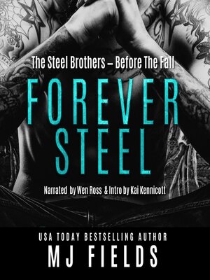cover image of The Steel Brothers